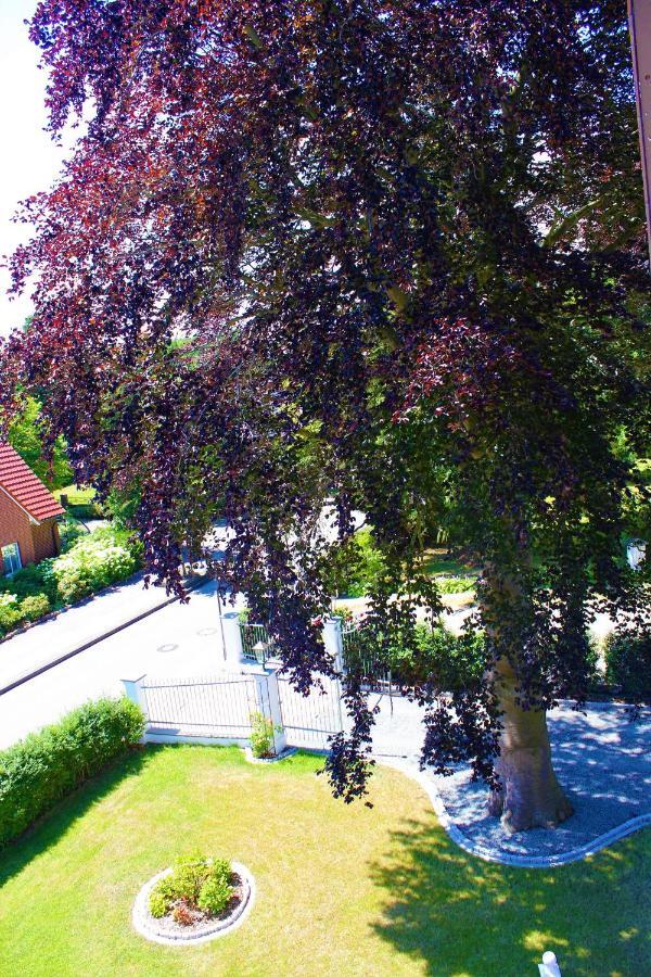 Rosen Villa Kappeln Eksteriør bilde